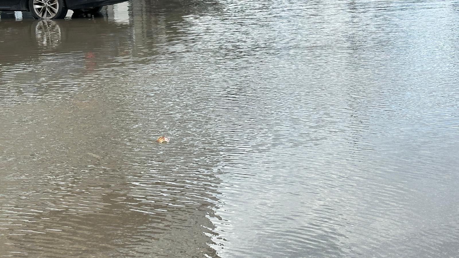 WhatsApp Image 2024-01-30 at 19.11.05 (1).jpeg